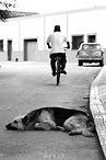 Siesta in Mexiko